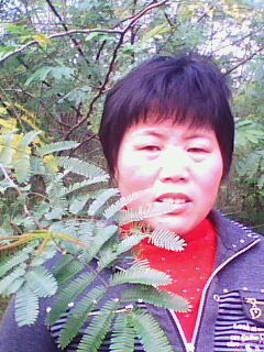 沈