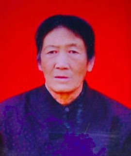 譚金平。譚塑委。